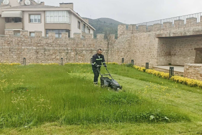 Körfez’de yabani otlar temizleniyor