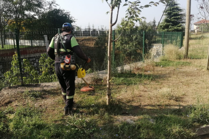 Körfez’de yabani otlarla mücadele sürüyor